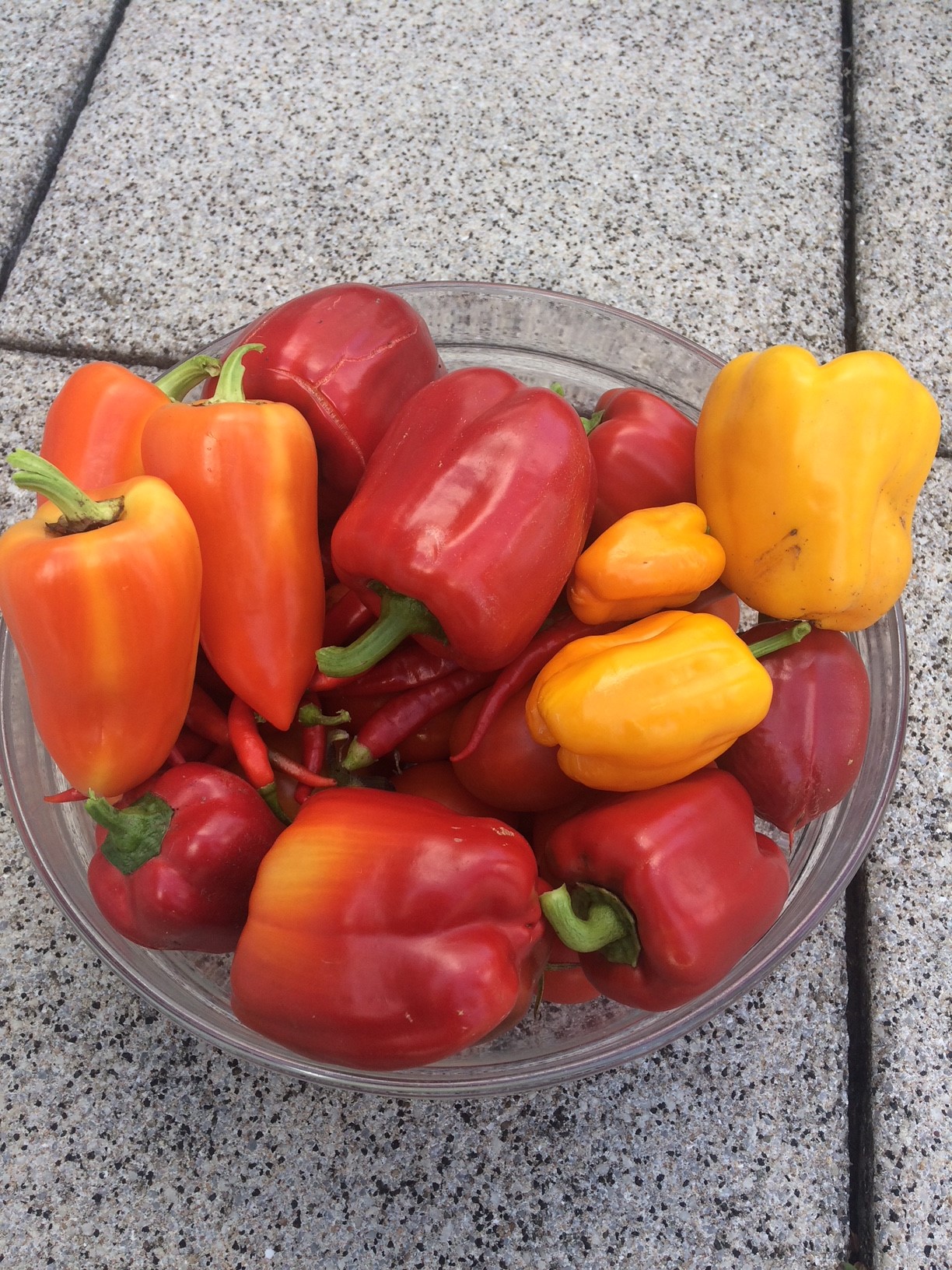 Rooftop Gardening bei unserem Lieferanten Develey