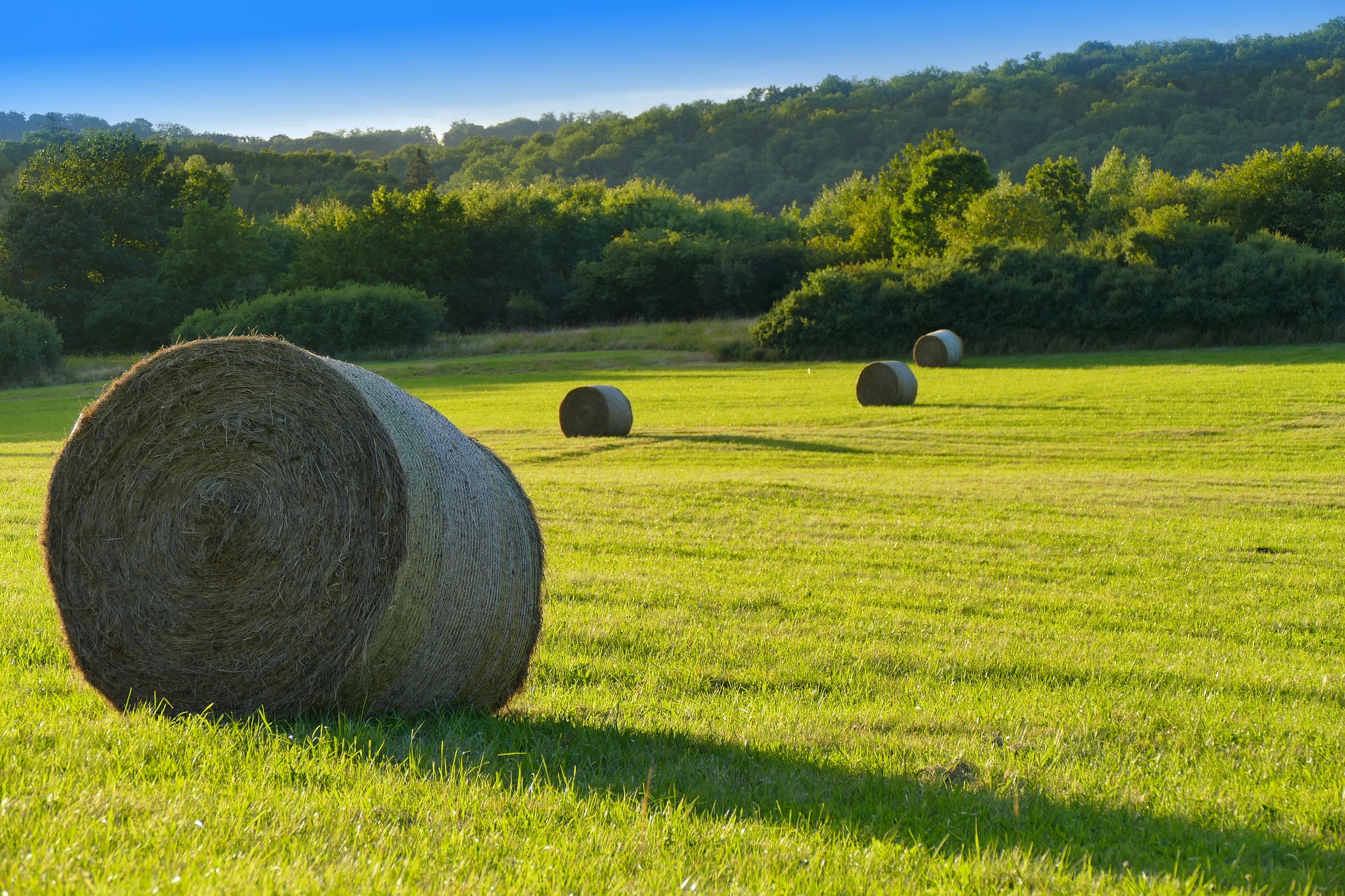 Young Farmer Programm