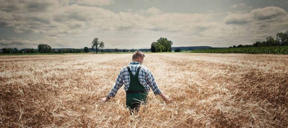 Globale Wertschöpfungsketten auf dem Prüfstand. Woher kommen unsere Rohwaren?