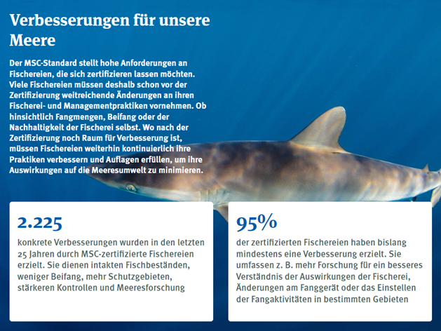 Nachhaltiger Fischfang kann unseren Meeren auf viele Weise nutzen.