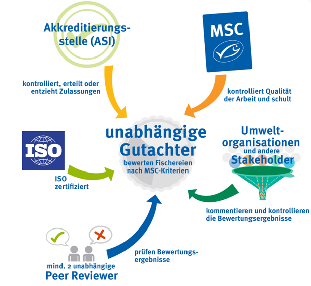 Welche Kriterien müssen nachhaltige Fischereien erfüllen?